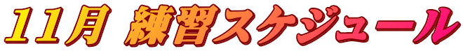 11月 練習スケジュール